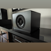 Hsu Research CCB-8 Speaker variant 5