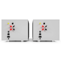 Pilium Audio Atlas Mono Power Amplifier variant 4