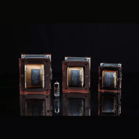 SW1x Audio Transformers variant 9