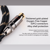 Cayin CS-120XLR variant 2