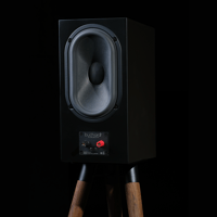 Buchardt Audio P300 variant 7
