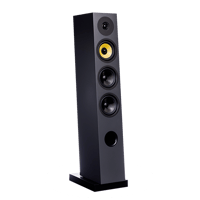 Davis Acoustics Courbet N°5 variant 6