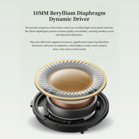 Sivga Audio Hifi dynamic Driver Wired IEM - Que variant 10