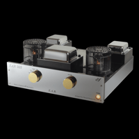 EAR Yoshino 869 variant 1