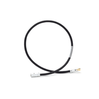 Shunyata Research THETA AES/EBU variant 1