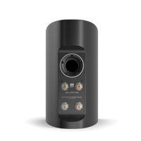 Dali EPICON 2 variant 2