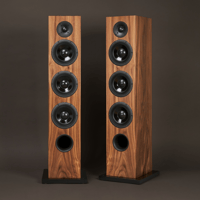 Xavian Torretta variant 7