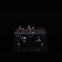 SW1x AMP II “Electra” Integrated Amplifier variant 8