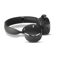 AKG Y500 Wireless variant 1