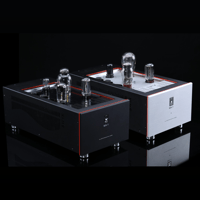 SW1x MPA V “Hercules” SE Mono Power Amplifier variant 2