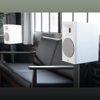 MartinLogan Motion B10 variant 44