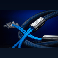 Siltech Cables Ruby Crown Speaker variant 4