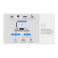 Cayin BTC-2 variant 8
