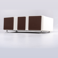 Wilson Audio WASAE Center Channel variant 7