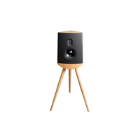 Lyngdorf Audio Cue-100 variant 2