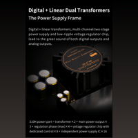 Aune S10N  Network Music Player variant 18