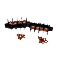 Miller Audio “Improved” Standard Terminal Block variant 1