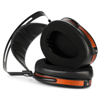 Hifiman Arya Organic variant 4