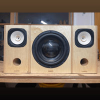 Blumenstein Audio Cain & Cain Abby II 6.5" Monitors variant 12