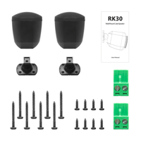 Arylic RK30 Wall Mount Cube Speaker variant 9