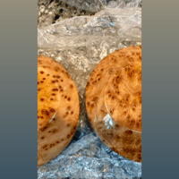 JM Audio Editions XTC ².5 Burl My Reference Pair "Euphoric Xtreme Trip" variant 9