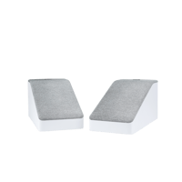 Polk Audio Reserve R900 variant 7