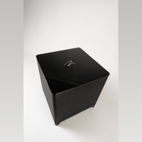 MartinLogan Dynamo Foundation 12 variant 13