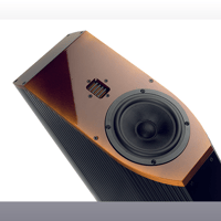 B.M.C. PureVox variant 5