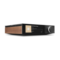 Cambridge Audio Evo 300 variant 2