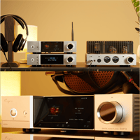 Cayin iDAP-8 variant 18