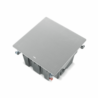 Focal 1000 ICLCR5 variant 3