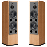 ATC - USA ATC SCM200PSLT Floorstanding Passive Speakers; Pair variant 1