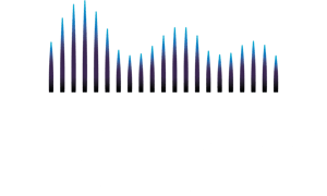 LIPTONS AUDIO VIDEO UNLIMITED logo