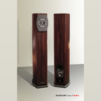 Audium Comp 5.2 Active variant 2