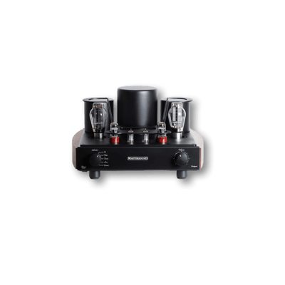 Mastersound Compact 300B
