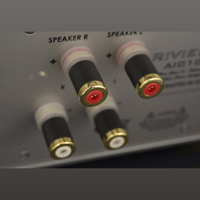 Riviera Labs AIC10-Bal variant 5