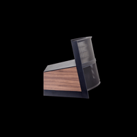 MartinLogan Illusion  ESL C34A variant 5