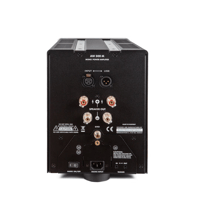 Electrocompaniet AW 300 M MONO POWER AMPLIFIER variant 5