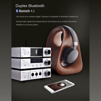 Cayin iDAP-6 variant 11