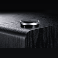 Magnat Alpha RS 12 variant 13