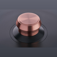 AMG Record clamps variant 7