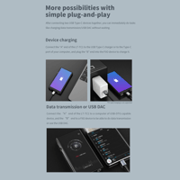 FiiO USB-C to USB-C charging/data cable variant 6