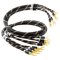 Vincent Bi-Wire-Cable variant 2