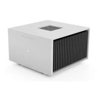 Pilium Audio Iasonas Stereo Power Amplifier variant 2