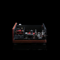 SW1x VDT V Valve Digital Transport Player & Music Streamer variant 7