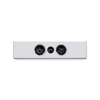 psb Speakers PWM1 - On-Wall Speaker variant 2