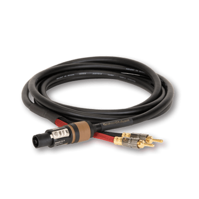 Benchmark Speaker Cable - NL2 to Banana - 2 pole