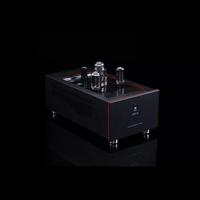 SW1x MPA II “Morpheus” Mono Power Amplifier variant 3