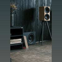 Buchardt Audio SUB10 variant 14