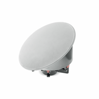 Focal Littora 1000 ICW 10 variant 5